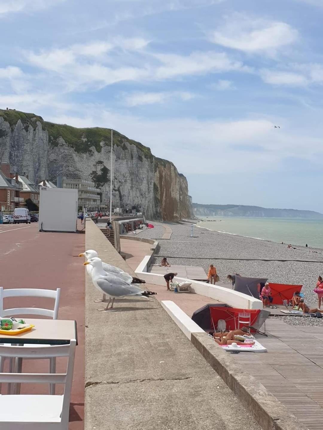Appartement Renove Tout Confort Mers-les-Bains Exteriér fotografie